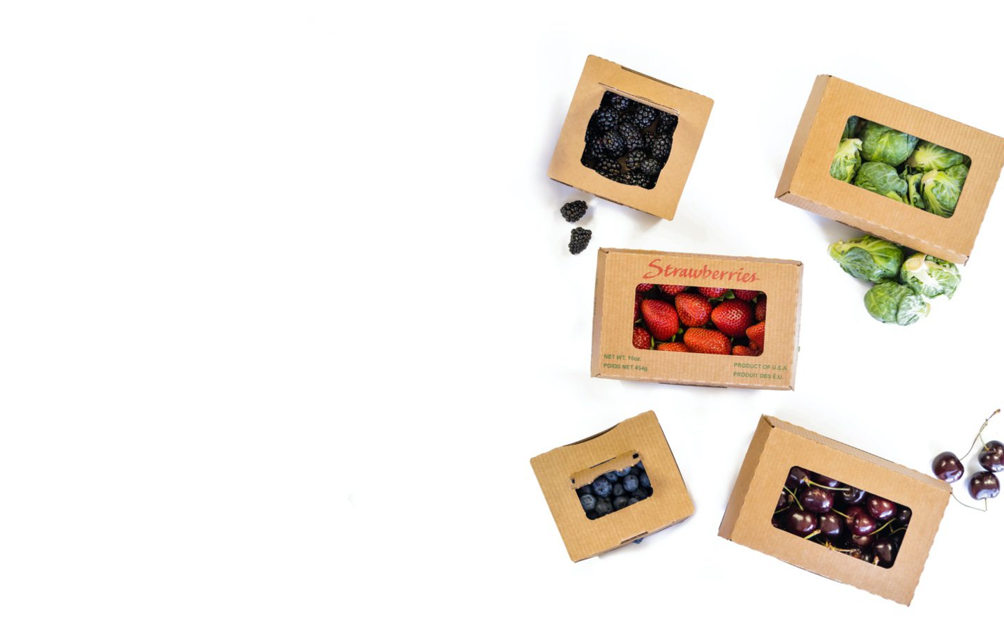 Sustainable and Recyclable Clamshells for Produce ReadyCycle®